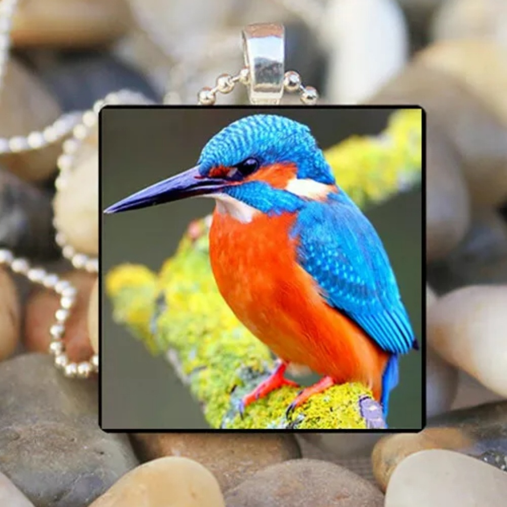 Red & Blue Bird Silver and Glass Tile Necklace